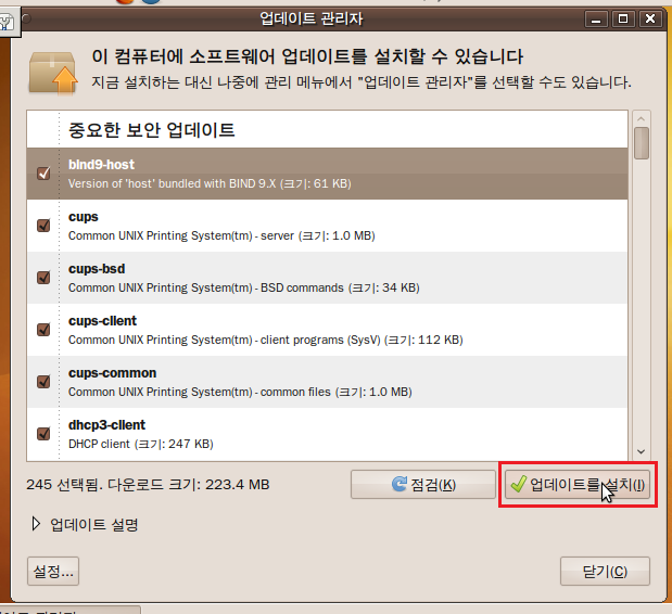 사용자 삽입 이미지